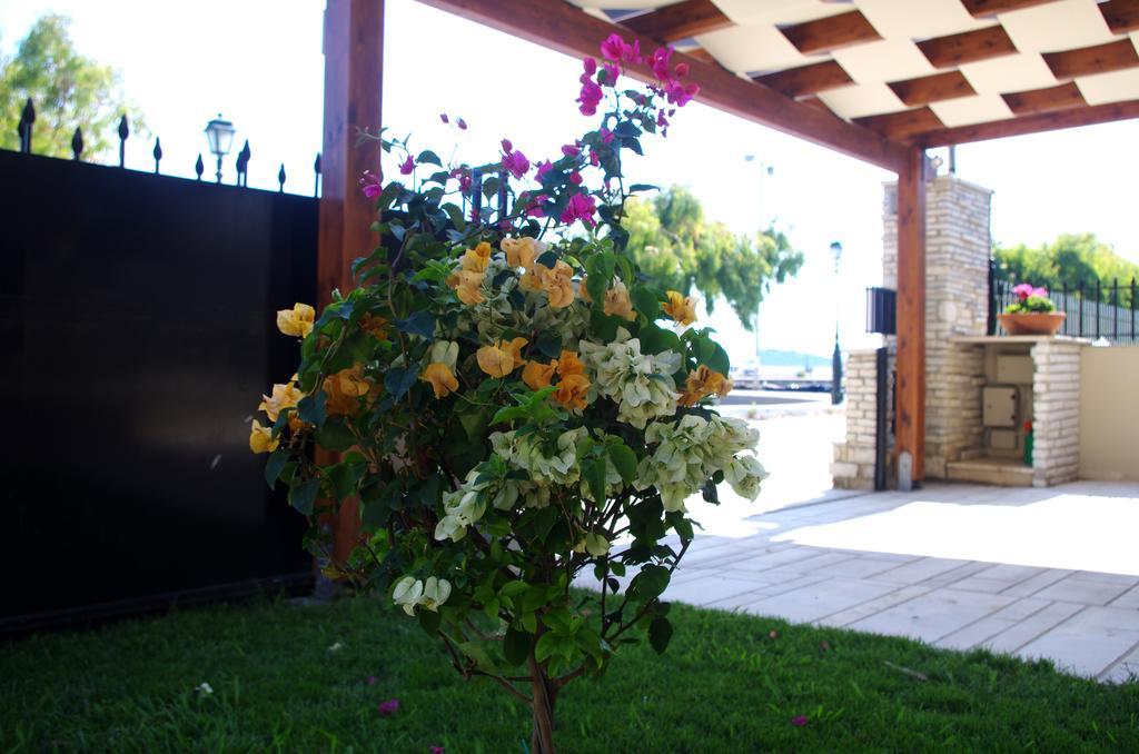 Amaryllis Holiday Home Agios Spyridon  Exteriér fotografie